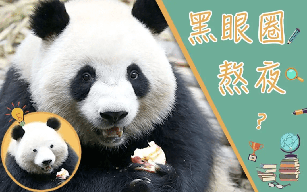 熊猫看书的夜间模式在哪_熊猫读书夜间模式在哪里_熊猫看书没有夜间模式2023