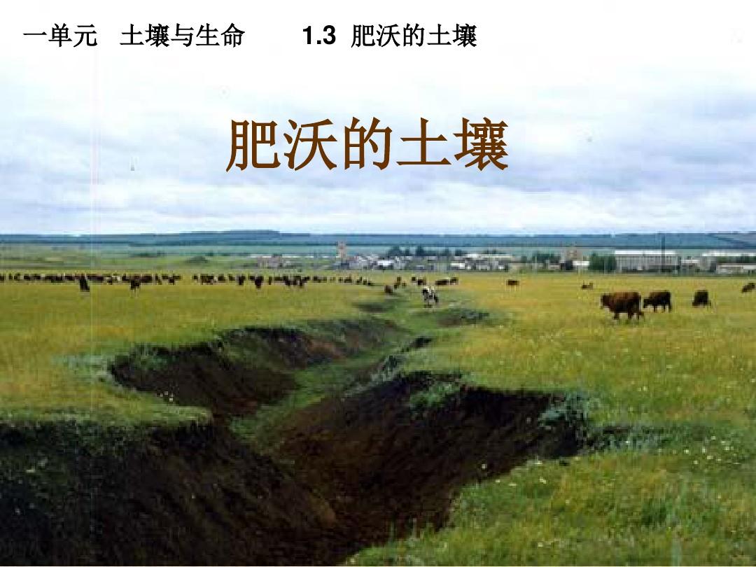 疯狂土地公！超能治愈，新技能大揭秘