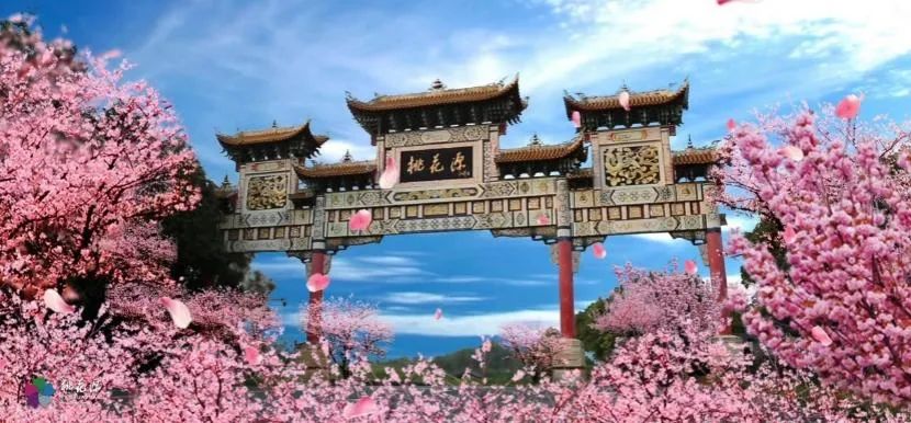 腾讯新闻评论桃源是谁?-谁是桃源背后的人？神秘身份浮出水面，