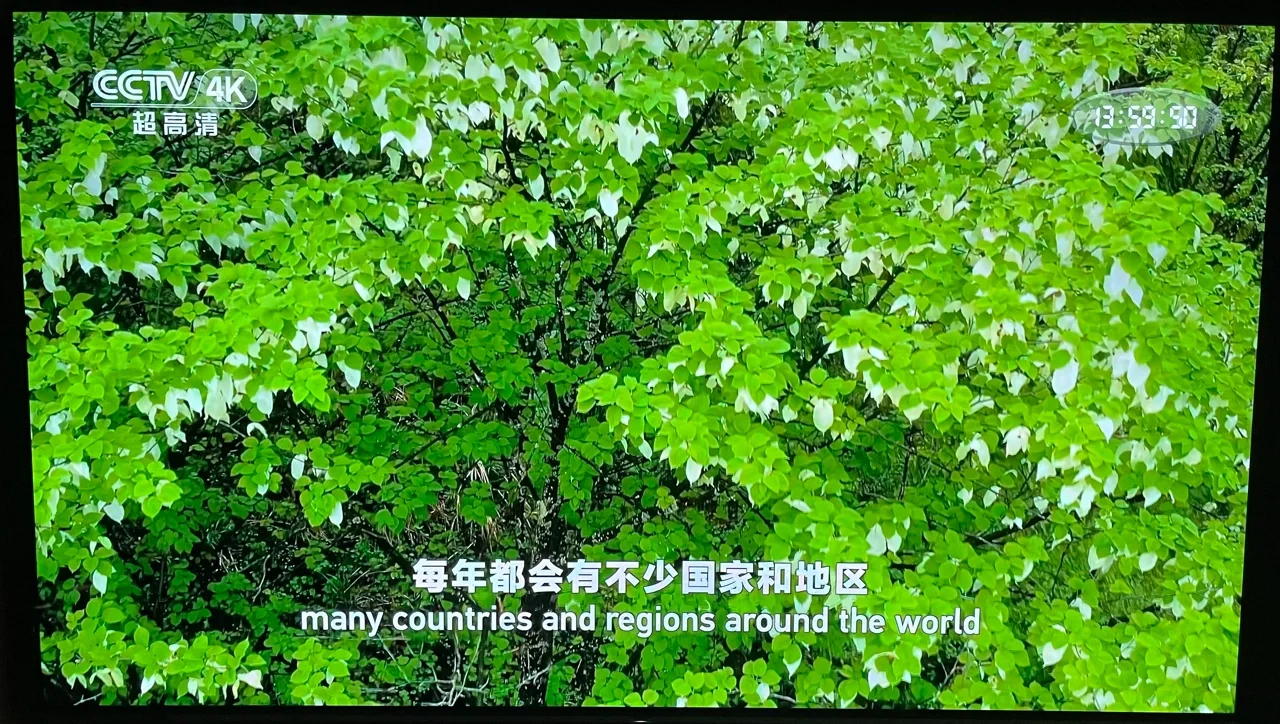 电脑USB手机游戏_电脑手机游戏模拟器_电脑手机游戏模拟器哪个好用