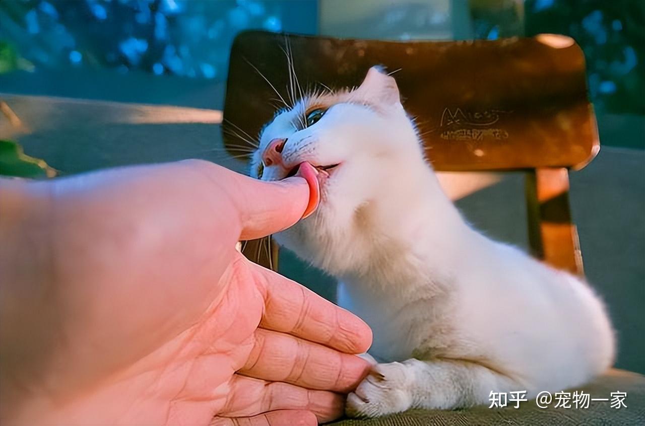 舔足_舔足_舔足