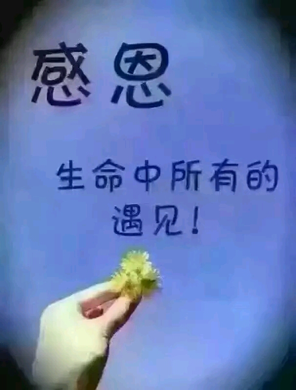 社区属于什么_所属社区是什么意思_社区属于街道还是居委会