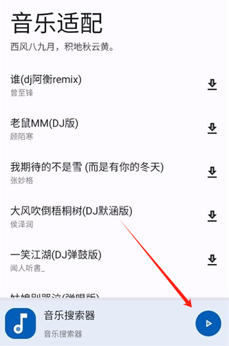 音乐适配 2024最新版
